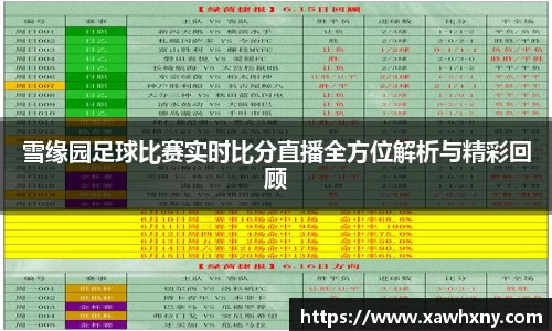 雪缘园足球比赛实时比分直播全方位解析与精彩回顾