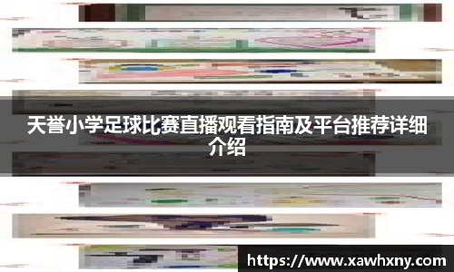 天誉小学足球比赛直播观看指南及平台推荐详细介绍