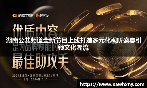 湖南公共频道全新节目上线打造多元化视听盛宴引领文化潮流